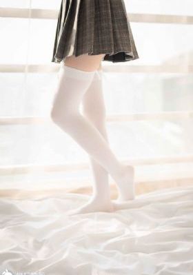 妖狐苏妲己