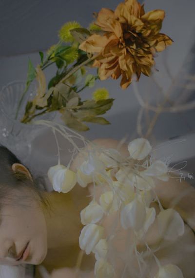 美丽小蜜蜂9